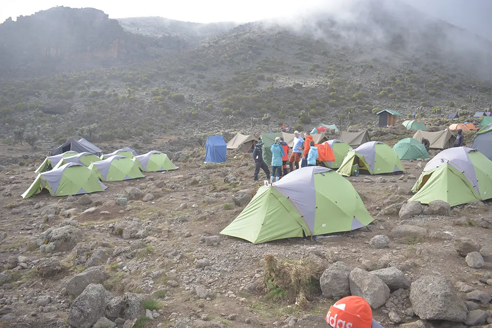 Barranco Campsite kilimanjaro