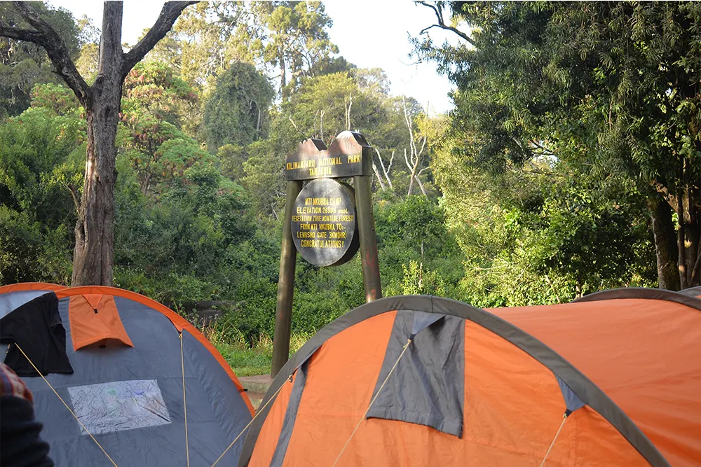 Big Tree (Mti Mkubwa) Campsite
