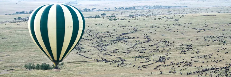 Northern Serengeti