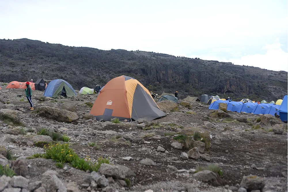 Karanga Campsite Kilimanjaro