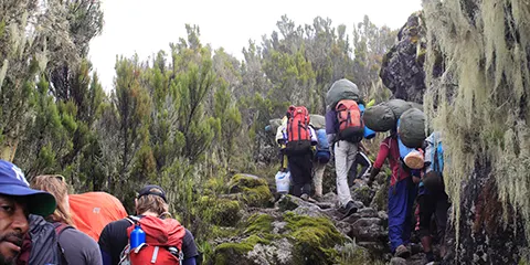 cover-2 Days Kilimanjaro Hiking via Marangu Route Tour Trip
