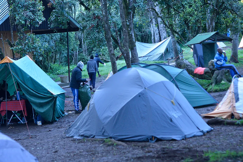 Big Tree (Mti Mkibwa) Campsite Kilimanjaro