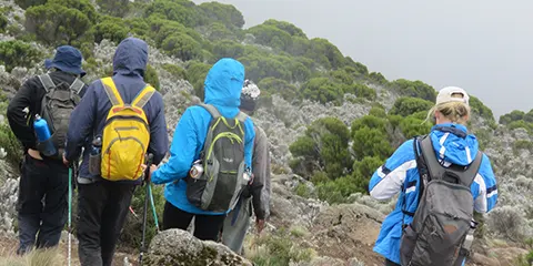 cover-7 Days Top Kilimanjaro Hiking by Machame Route Trip
