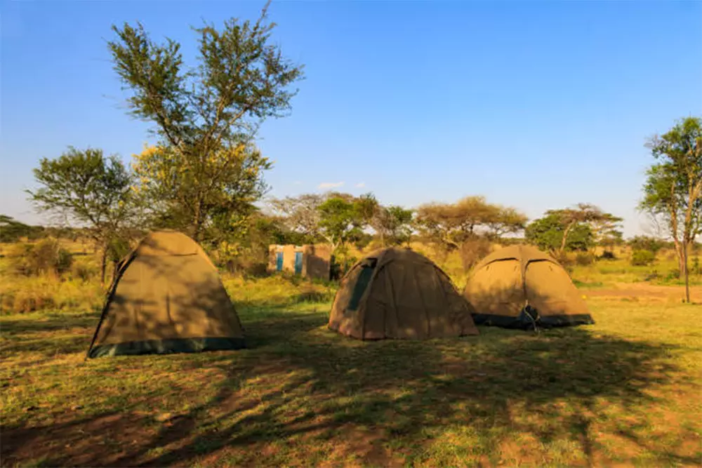Nyani public Campsite