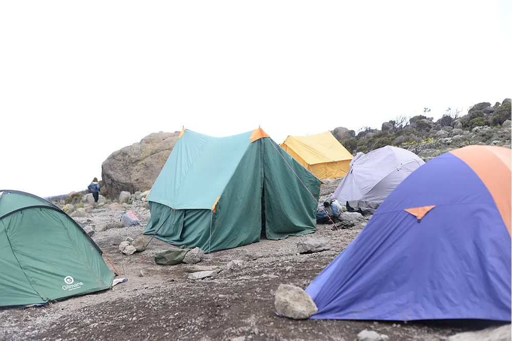 School Hut Campsite Kilimanjaro