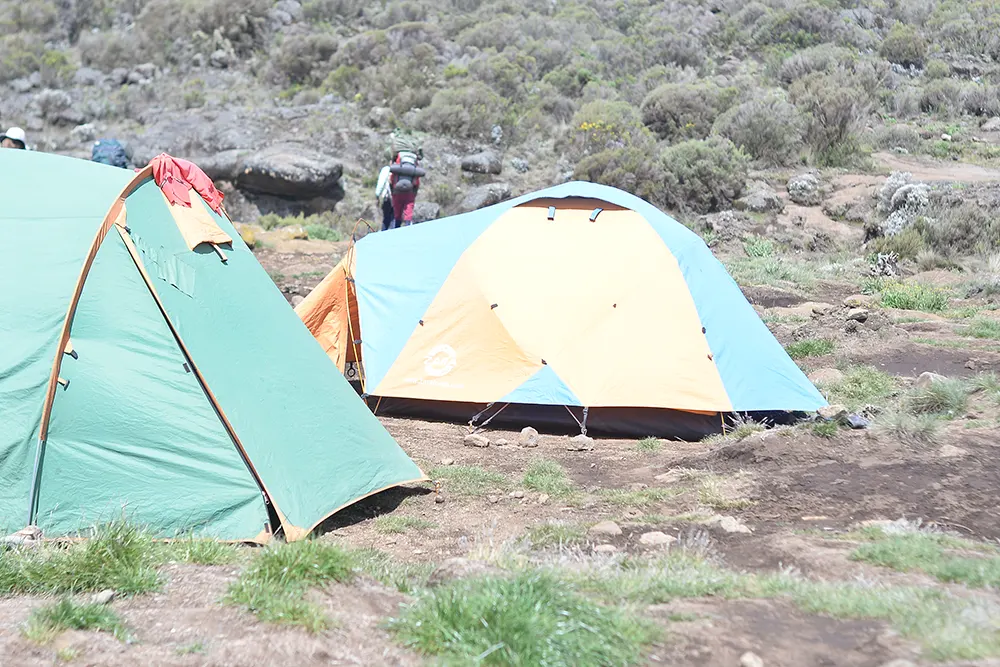 Second Cave Campsite kilimanjaro