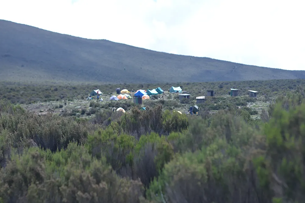 Shira 1 Campsite Kilimanjaro