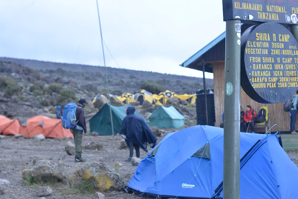 Shira 2 Campsite Kilimanjaro
