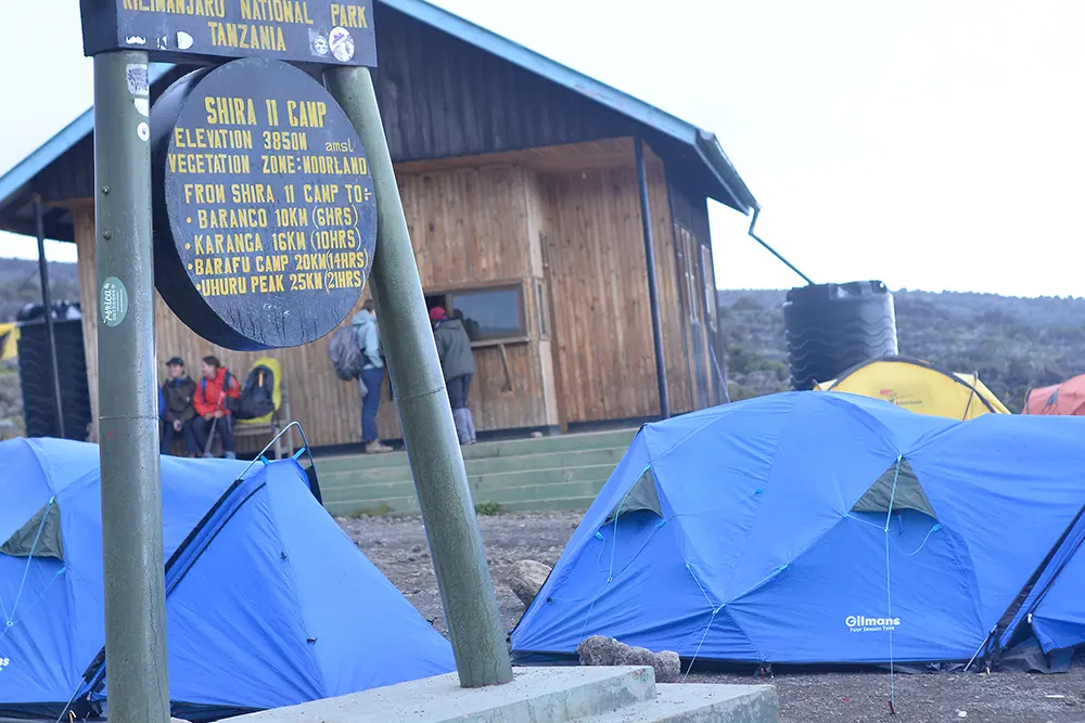 Shira 2 Campsite Kilimanjaro