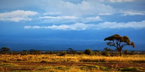 cover-2 Days Tarangire and Ngorongoro Group Joining Safari