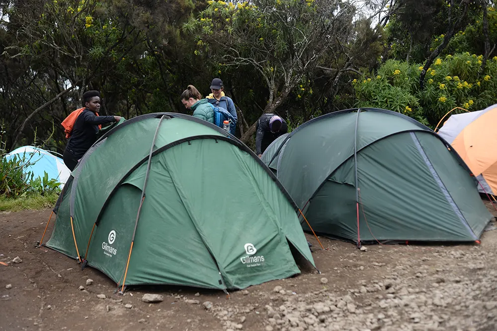 Mweka Campsite Kilimanjaro